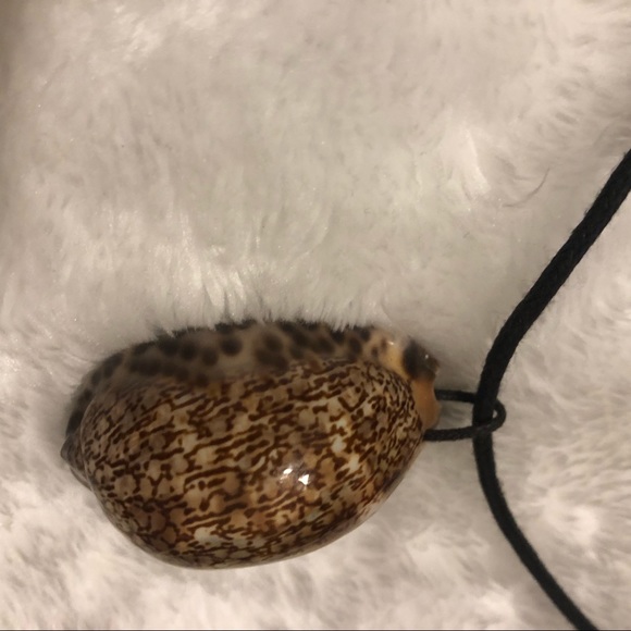 Caribbean Shell necklace - Picture 4 of 7